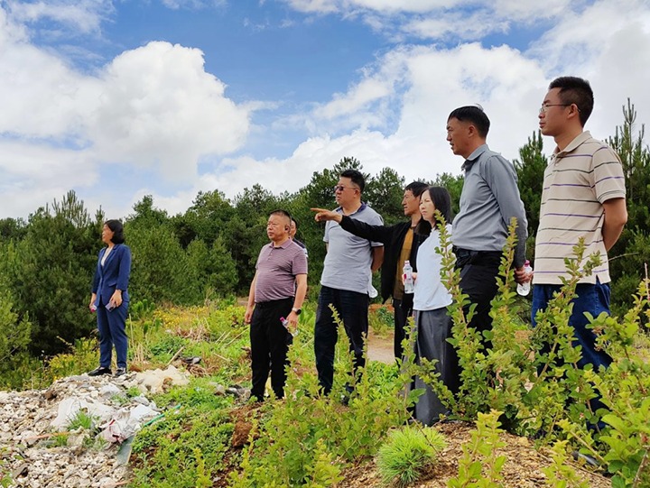 【主题教育】云煤（294俄罗斯专享会登录）集团专职外部董事寸延峰，，，，，，集团党委委员、财务总监莫晓丹到马厂煤矿、汉家厂煤矿、竹麻地煤矿开展主题教育调研