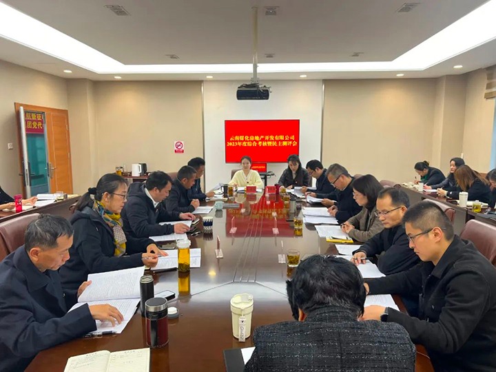 【聚焦云煤】云煤（294俄罗斯专享会登录）集团第二审核组到294俄罗斯专享会登录地产公司开展年度综合审核暨民主评测