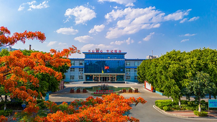 红色基由于引领，，，，，，，磨练战场写华章  —— 汗水与智慧交织的磨练历程